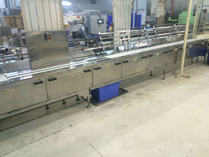 HORIZONTAL FLOW WRAP MACHINE MULTIPACK SYSTEM