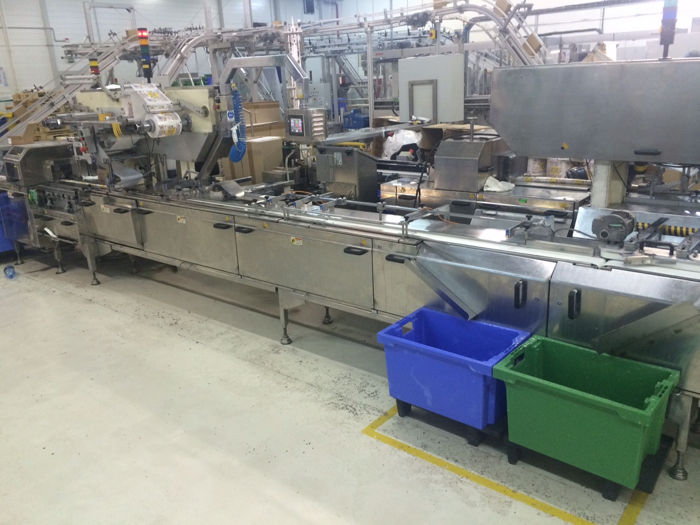 HORIZONTAL FLOW WRAP MACHINE MULTIPACK SYSTEM